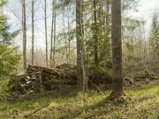 ����� �������� ������ � ���������� ������� �� ���������� ����� � ����������� ������ ����������� �������.