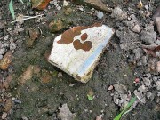 �������� ������� (?) ������ ������� ���������� � ������ ���������������� ������ ������������ �������.