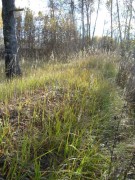 �����, ��� ���������� ���������-���������� ������� � ������� ������� ������������ ������ ����������� �������. ��������� �������� ���, ����� 1 ����� �������, ���������� ������� ����� ��������� ����� 100 ������, ������� �������� ���������. ��������, ������� �� ������ �������.