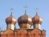 Главы Троицкой церкви в Лелечах Егорьевского района Московской области.
